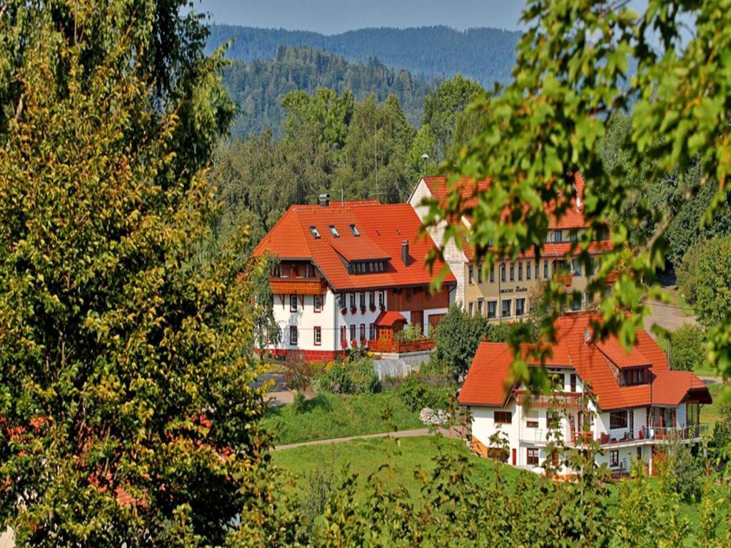 Haus Schlageter Apartment Dachsberg im Schwarzwald Exterior photo